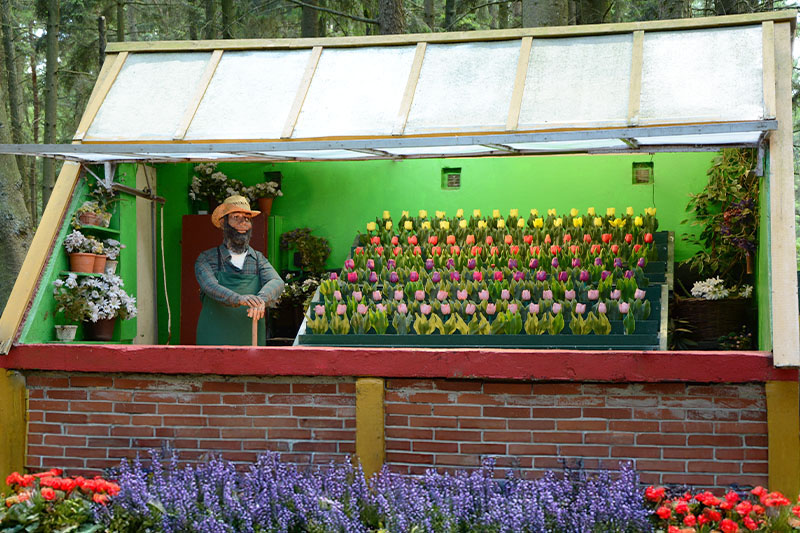 Das Blumenwunder